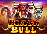 PP 287 Black Bull