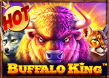 PP 19 Buffalo King