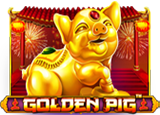 PP 124 Golden Pig