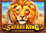 PP 117 Safari King