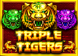 PP 91 Triple Tigers